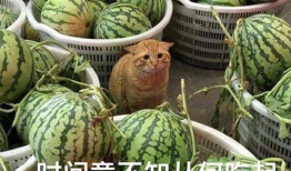 网红吃瓜爆料怎么找到的,探寻幕后线索与技巧